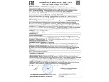 Декларация "Маунтин ЭИР"